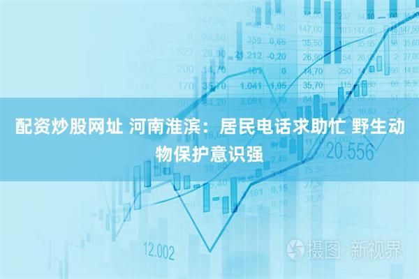 配资炒股网址 河南淮滨：居民电话求助忙 野生动物保护意识强